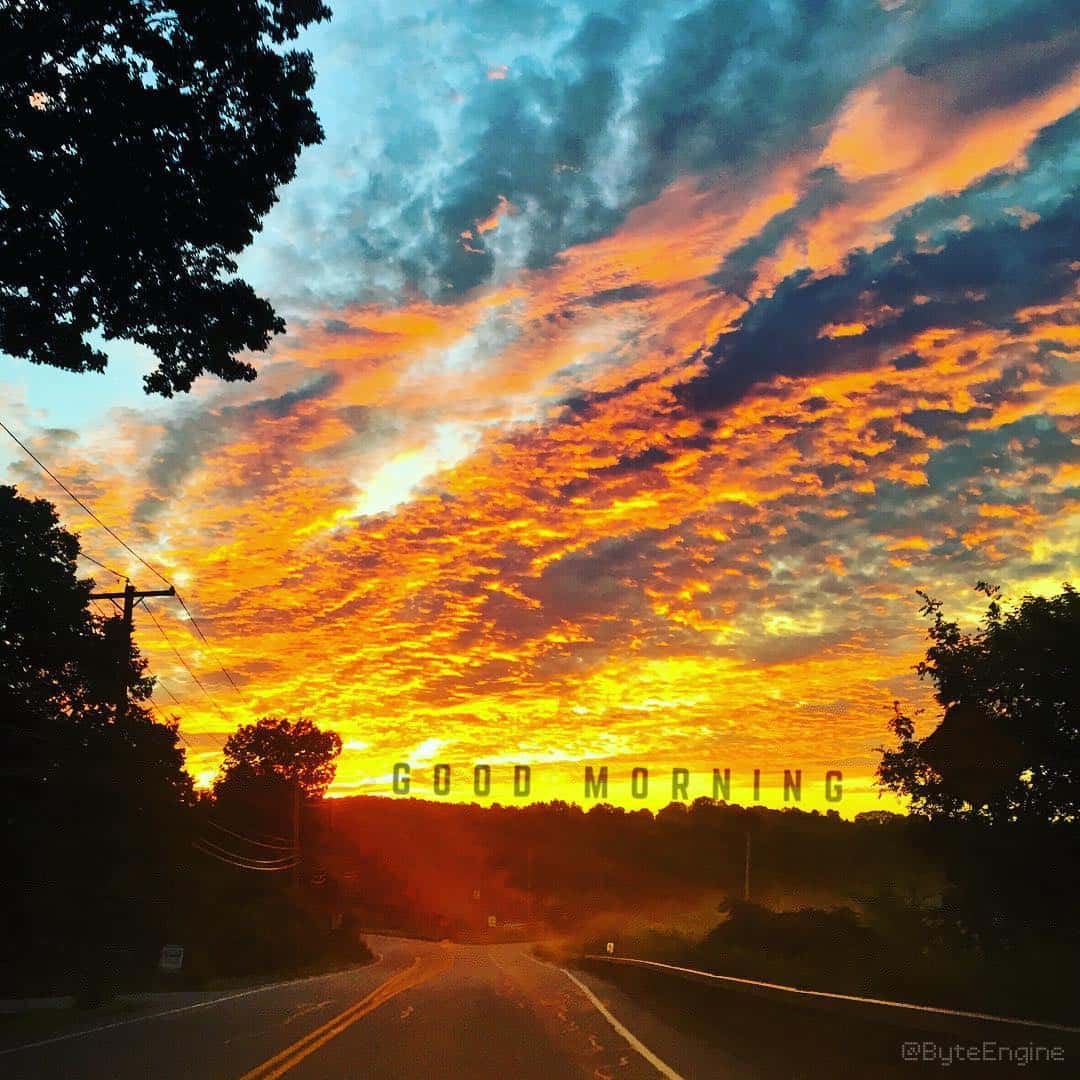 Good Morning artwork 029